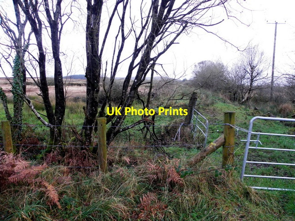 Photo 6"x4" Beagh Townland Tempo c2015
