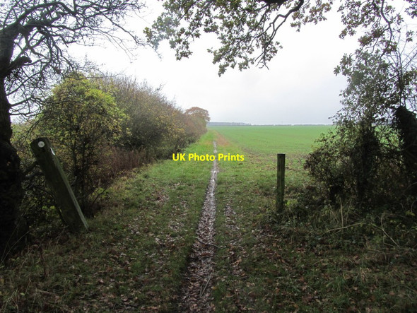 Photo 6"x4" On Three Shires Way - View NE near Daisy Castle, Bozeat Bozeat c2015