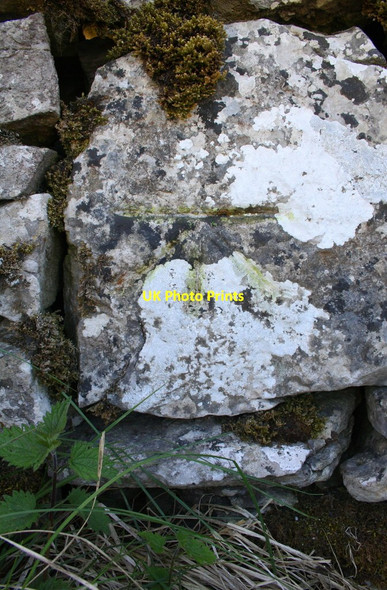 Photo 6"x4" Benchmark on wall junction at Selside Shaw Selside\/SD7875 c2015