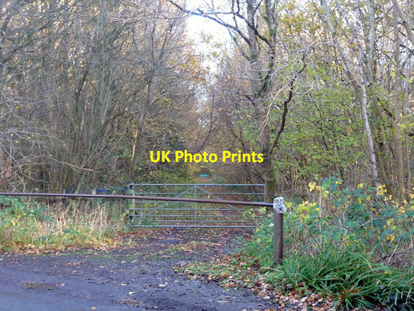 Photo 6"x4" Track into Newlands Wood Ripper's Cross c2015