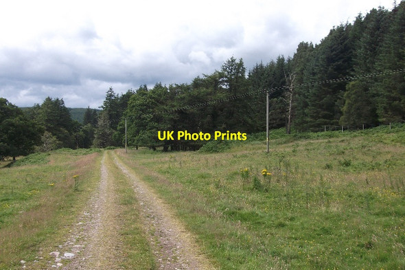 Photo 6"x4" Track, Ascoilemore Balnacoil\/NC8011 c2015