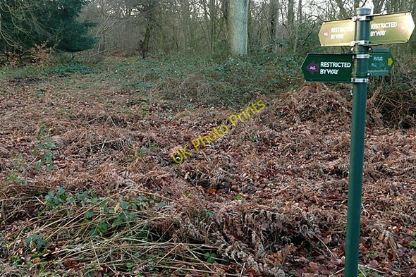 Photo 6"x4" Junction in Beche Park Wood Ashampstead Green c2009