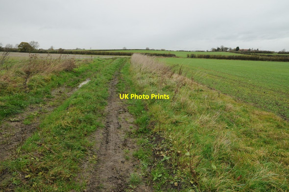 Photo 6"x4" Footpath and track Naunton Beauchamp c2015