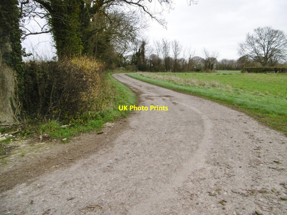 Photo 6"x4" Tarrant Gunville, farm road Tarrant Gunville c2015