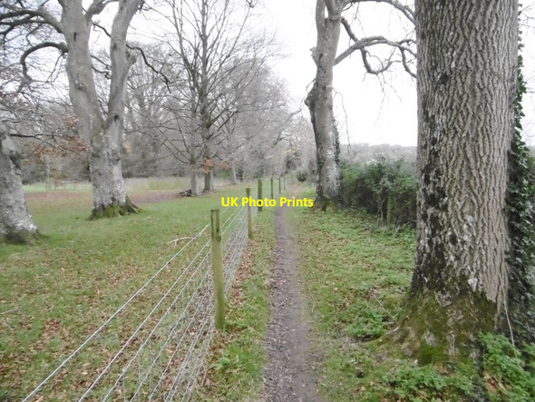 Photo 6"x4" Tarrant Gunville, footpath Tarrant Gunville c2015 P1