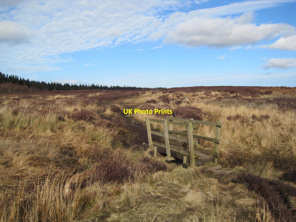 Photo 6"x4" Footbridge over Unnamed Burn Rothbury c2015