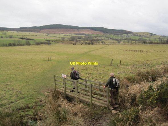 Photo 6"x4" Footbridge over unnamed Burn Rothbury c2015