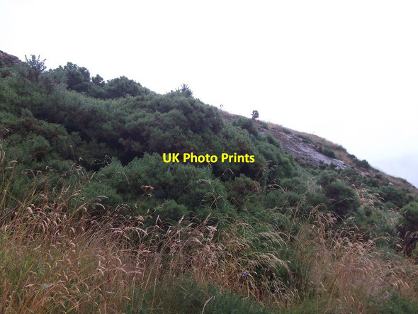 Photo 6"x4" Crags, Strath Fleet Kinnauld c2015 P1