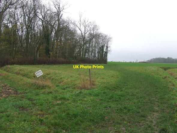 Photo 6"x4" Ladies Grove Burrough End c2015