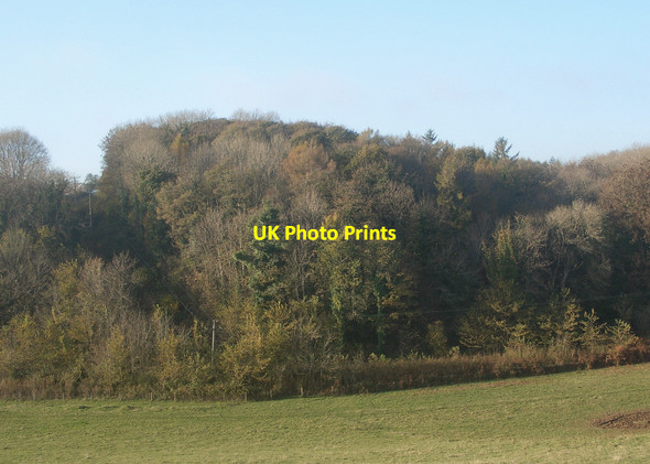Photo 6"x4" Coed Cwintin from the south Merthyr Mawr c2015