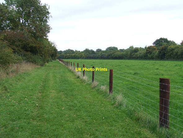 Photo 6"x4" Paddock Fencing Wimbish c2015
