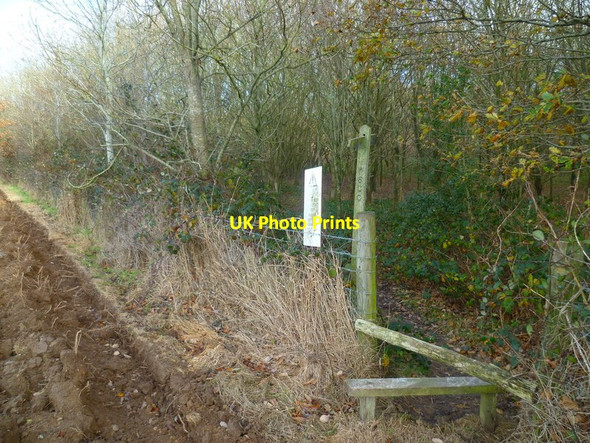 Photo 6"x4" Footpath enters strip of woodland north of Decoy Pond Hammerpot c2015