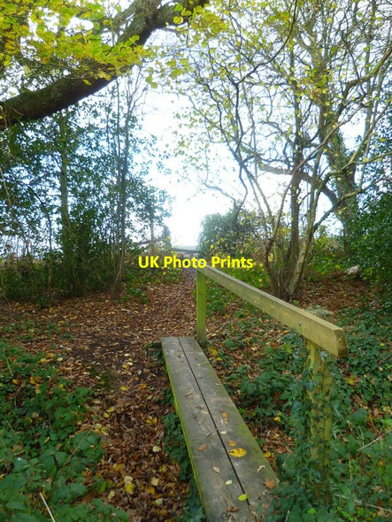 Photo 6"x4" Footpath crosses bridge and leaves woodland Hammerpot c2015