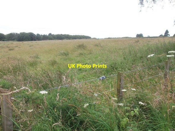 Photo 6"x4" Field, Crofts of Kingscauseway Tain\/NH7881 c2015