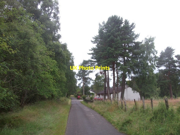 Photo 6"x4" Logie Hill Brenachie c2015