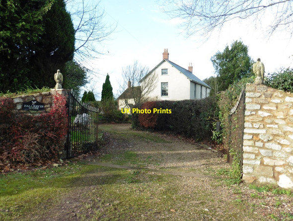 Photo 6"x4" Hallhayes House Nicholashayne c2015