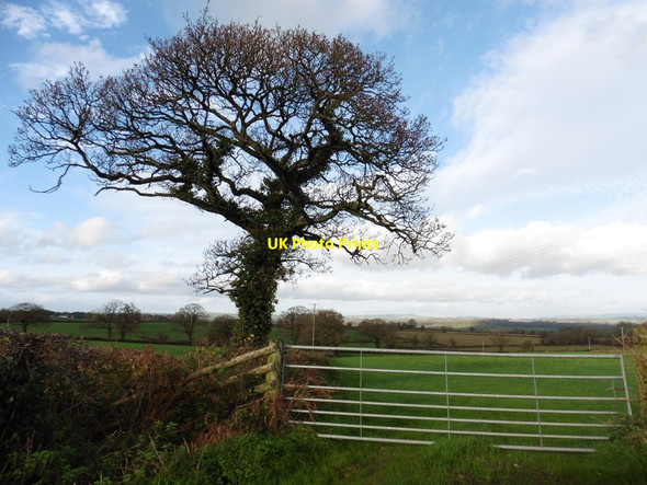 Photo 6"x4" Farmland, near Hallhayes Nicholashayne c2015