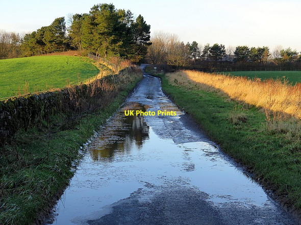 Photo 6"x4" Mill Lane near Bays Leap Heddon-on-the-Wall c2015