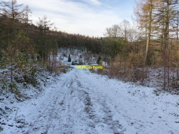 Photo 6"x4" Track in Macclesfield Forest Langley\/SJ9471 c2015