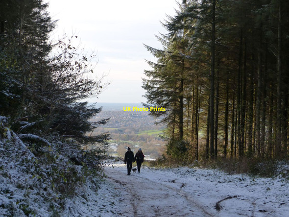Photo 6"x4" In Macclesfield Forest Langley\/SJ9471 c2015
