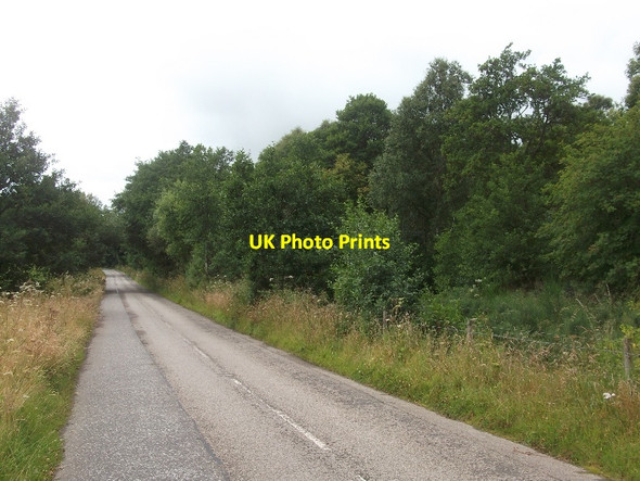 Photo 6"x4" Old B817, Kildary Kilmuir\/NH7573 c2015