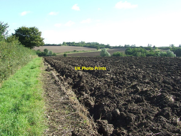 Photo 6"x4" Path And Ploughed Field Smith's Green\/TL6640 c2015