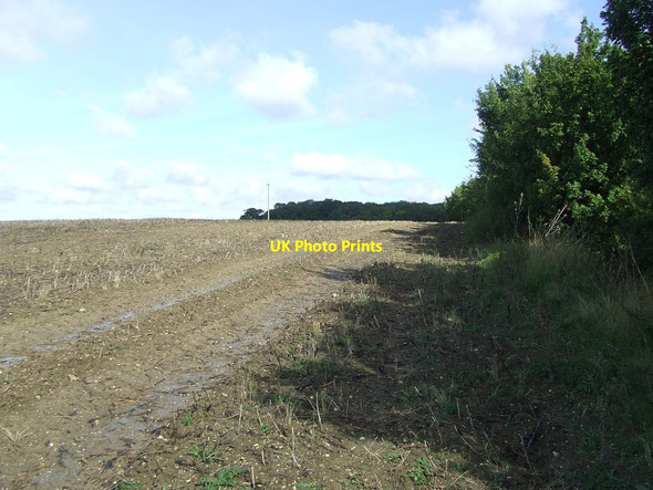 Photo 6"x4" To Balance Wood Smith's Green\/TL6640 c2015