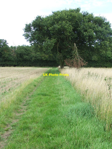 Photo 6"x4" Footpath To Hempstead Wood Hempstead\/TL6338 c2015