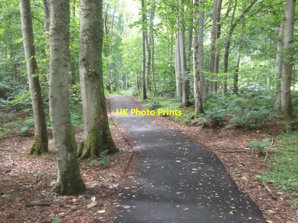 Photo 6"x4" Bike path, Novar Evanton\/Baile-Eoghain c2015