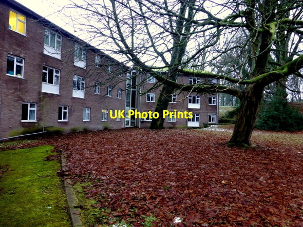 Photo 6"x4" Fallen leaves, Tyrone & Fermanagh Hospital Grounds Omagh c2015