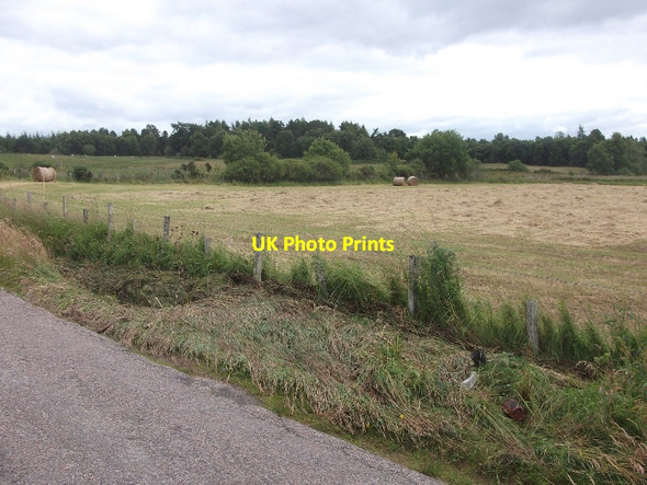 Photo 6"x4" Hay field above Crasky Braefindon c2015