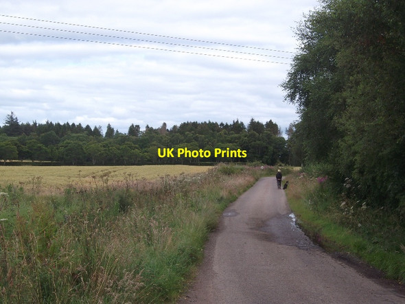 Photo 6"x4" A walk on the Black Isle Munlochy c2015