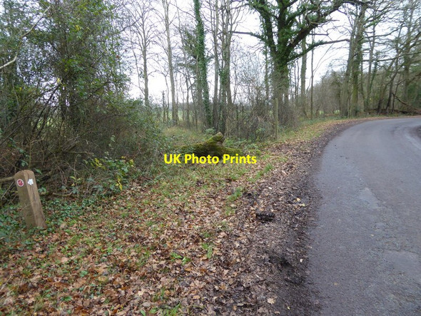 Photo 6"x4" Bridleway leaves Drungewick Lane Roundstreet Common c2015