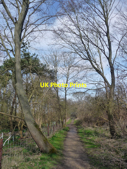 Photo 6"x4" Path, Gibraltar Point (2) Seacroft\/TF5660 c2013
