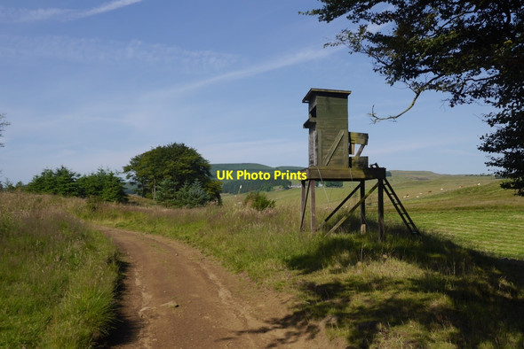 Photo 6"x4" Deer seat, The Common Auchmuirbridge c2015