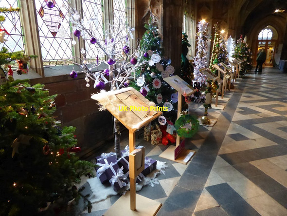 Photo 6"x4" Christmas trees in Worcester Cathedral #1 Worcester c2015