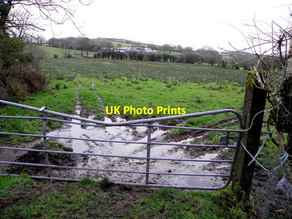 Photo 6"x4" A mucky field, Cules Long Killadeas c2015