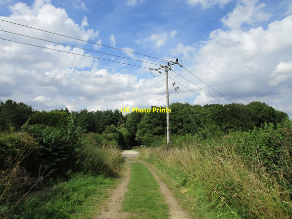 Photo 6"x4" Approaching Clinthill Lane and Whitwell Wood Bakestone Moor c2015