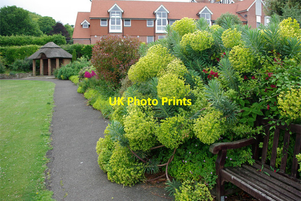 Photo 6"x4" Herbaceous border, the Helen Garden Meads\/TV6097 c2010