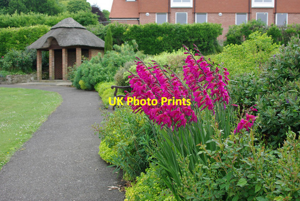Photo 6"x4" Herbaceous border, the Helen Garden Meads\/TV6097 c2010 P1