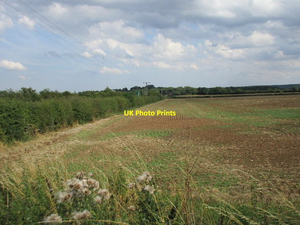 Photo 6"x4" Behind the hedge Darfoulds c2015