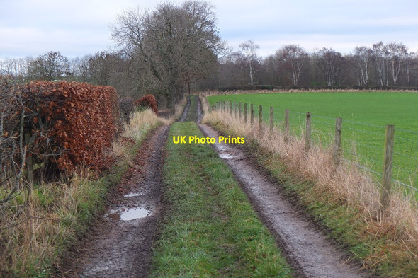 Photo 6"x4" Track to B7006, Roslin Loanhead\/NT2765 c2015