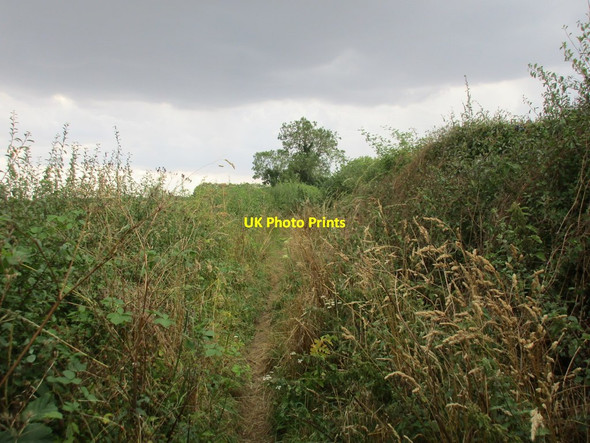 Photo 6"x4" Whitwell Road Darfoulds c2015