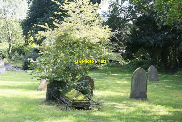 Photo 6"x4" Shrub by the Tomb Ashampstead c2015
