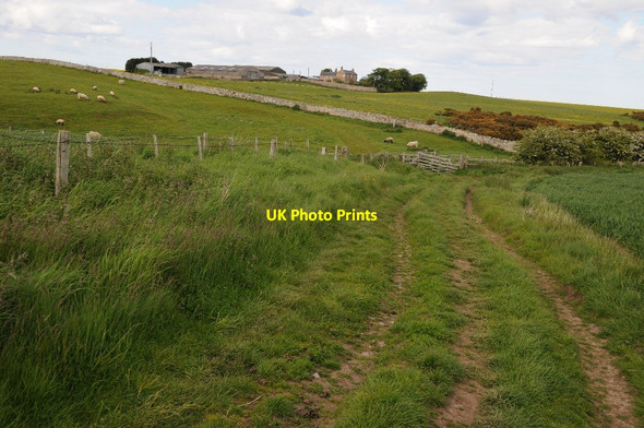 Photo 6"x4" View to Greenhill Bamburgh c2015