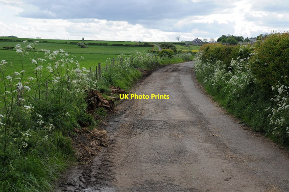 Photo 6"x4" Road to New Shoreston Seahouses c2015