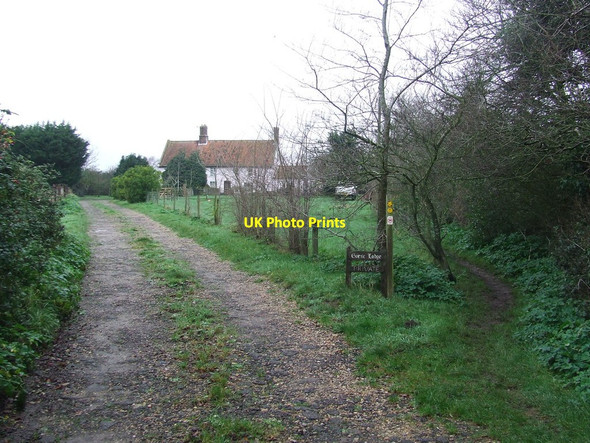 Photo 6"x4" Gorse Lodge Southwold c2015