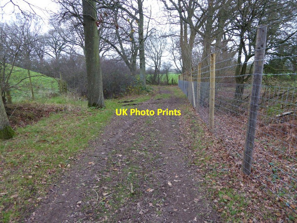 Photo 6"x4" Short stretch of footpath between bends North Heath\/TQ0621 c2015