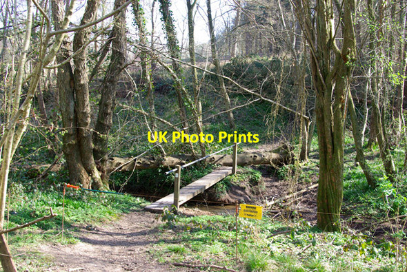 Photo 6"x4" Footbridge, path from Herrings Farm to Marklye Farm Heathfield\/TQ5821 c2007