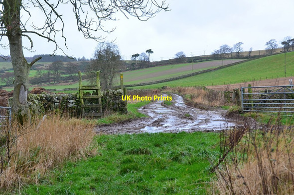 Photo 6"x4" Farm track to Larkhall Jedburgh c2015